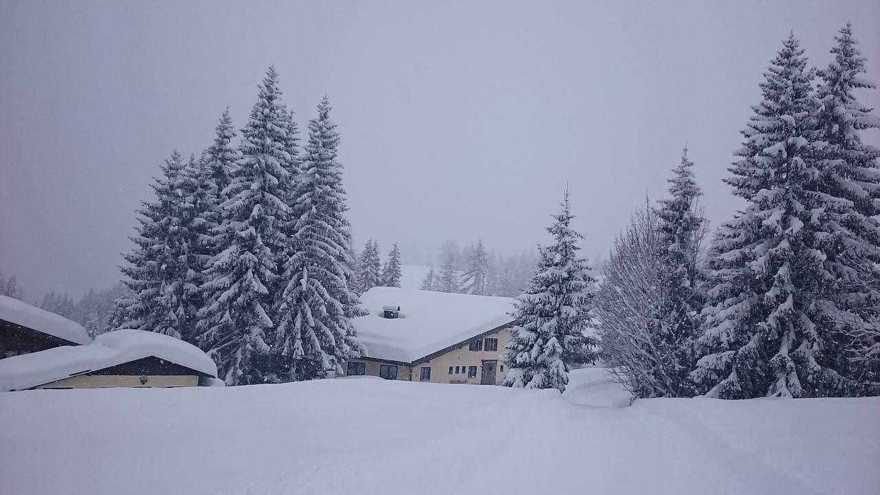Appartmenthaus Hochkoenig Мюльбах Экстерьер фото